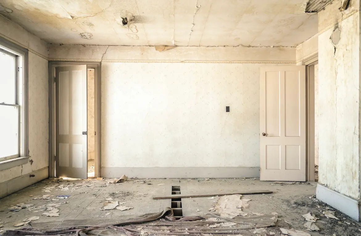 Waste disposal crew managing a cleanout project in Dripping Springs